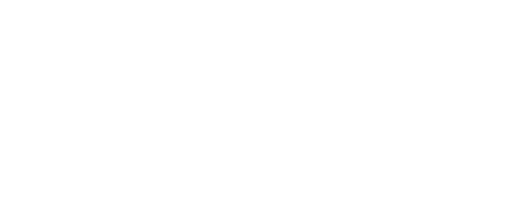 SARI Logo white